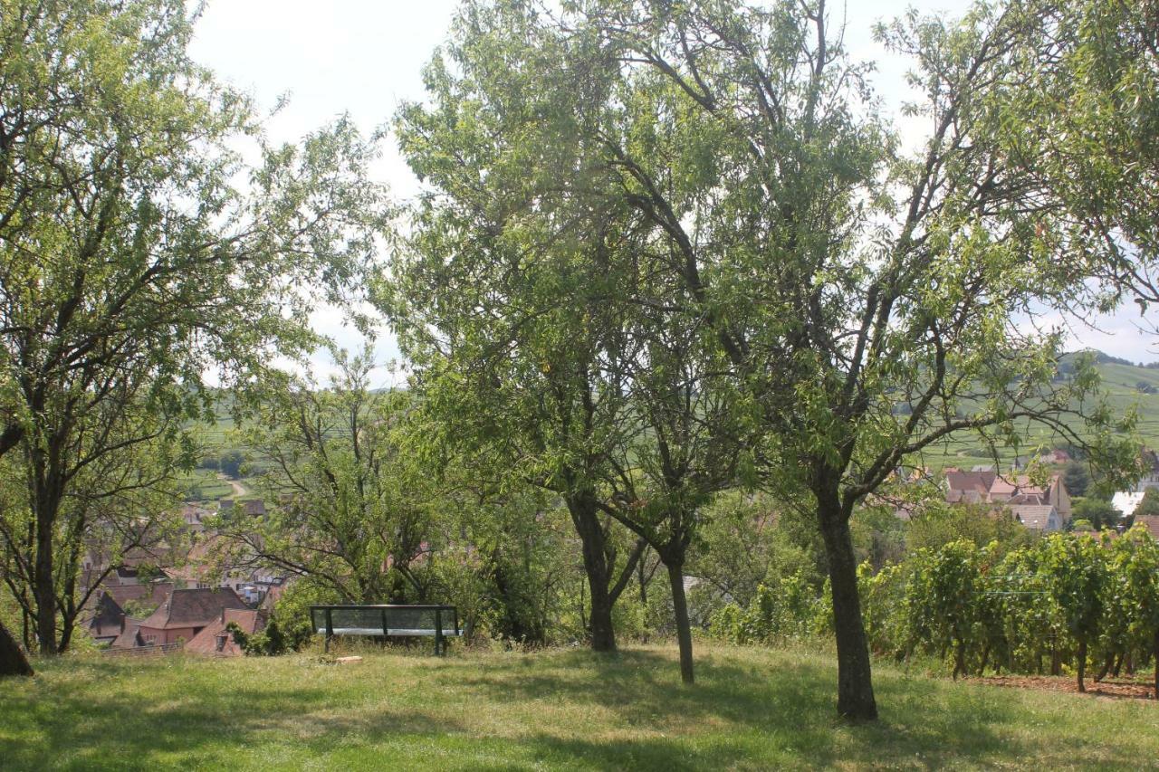 Ferienhaus Des Cigognes Bleu *